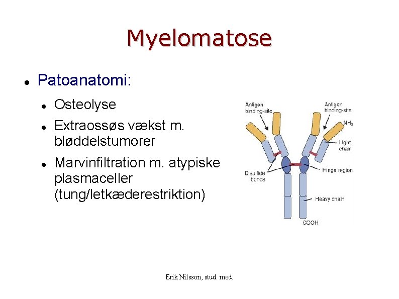Myelomatose Patoanatomi: Osteolyse Extraossøs vækst m. bløddelstumorer Marvinfiltration m. atypiske plasmaceller (tung/letkæderestriktion) Erik Nilsson,