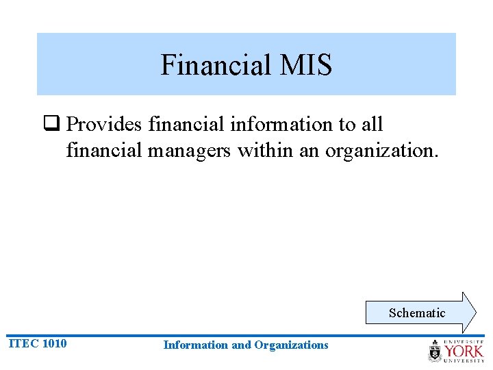 Financial MIS q Provides financial information to all financial managers within an organization. Schematic