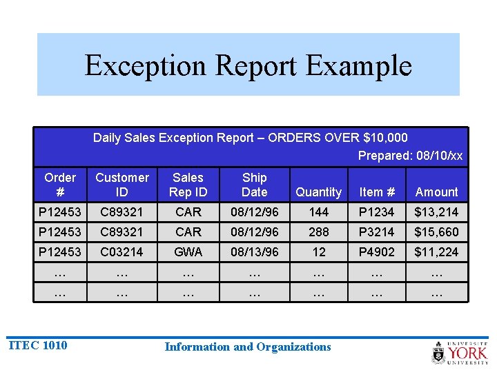 Exception Report Example Daily Sales Exception Report – ORDERS OVER $10, 000 Prepared: 08/10/xx
