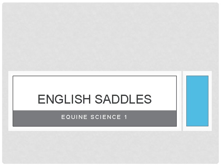 ENGLISH SADDLES EQUINE SCIENCE 1 