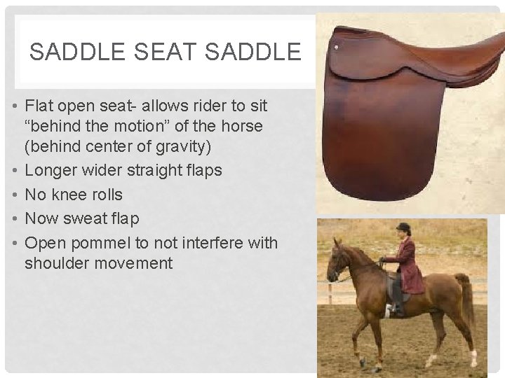 SADDLE SEAT SADDLE • Flat open seat- allows rider to sit “behind the motion”