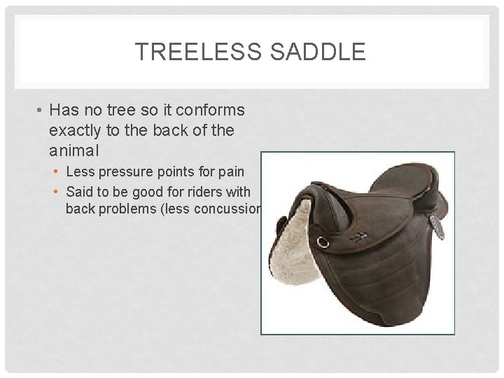 TREELESS SADDLE • Has no tree so it conforms exactly to the back of