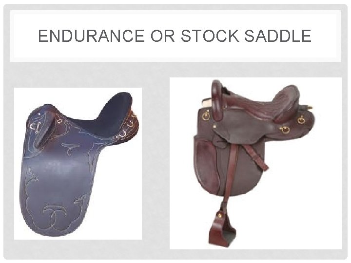 ENDURANCE OR STOCK SADDLE 