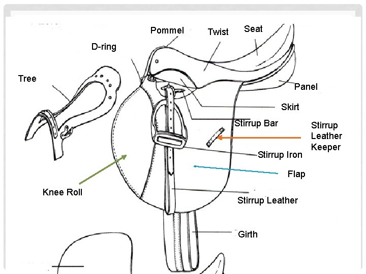 Pommel Twist Seat Cantle D-ring Tree Panel Skirt Stirrup Bar Stirrup Iron Flap Knee