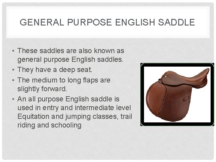 GENERAL PURPOSE ENGLISH SADDLE • These saddles are also known as general purpose English