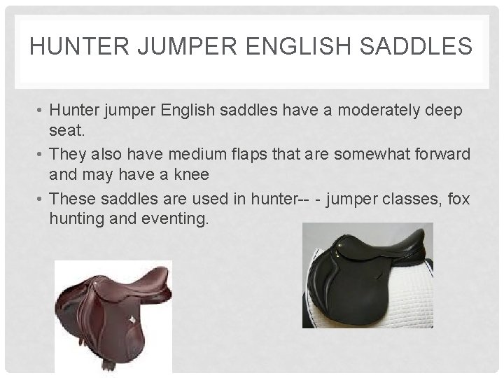 HUNTER JUMPER ENGLISH SADDLES • Hunter jumper English saddles have a moderately deep seat.