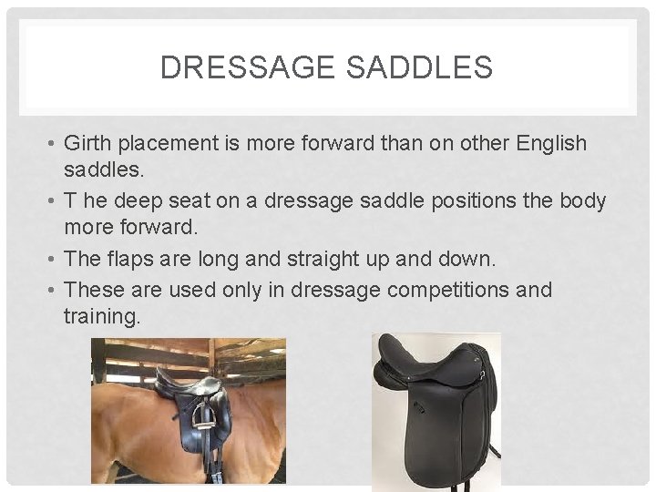 DRESSAGE SADDLES • Girth placement is more forward than on other English saddles. •