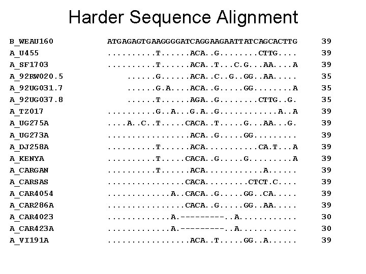 Harder Sequence Alignment B_WEAU 160 A_U 455 A_SF 1703 A_92 RW 020. 5 A_92