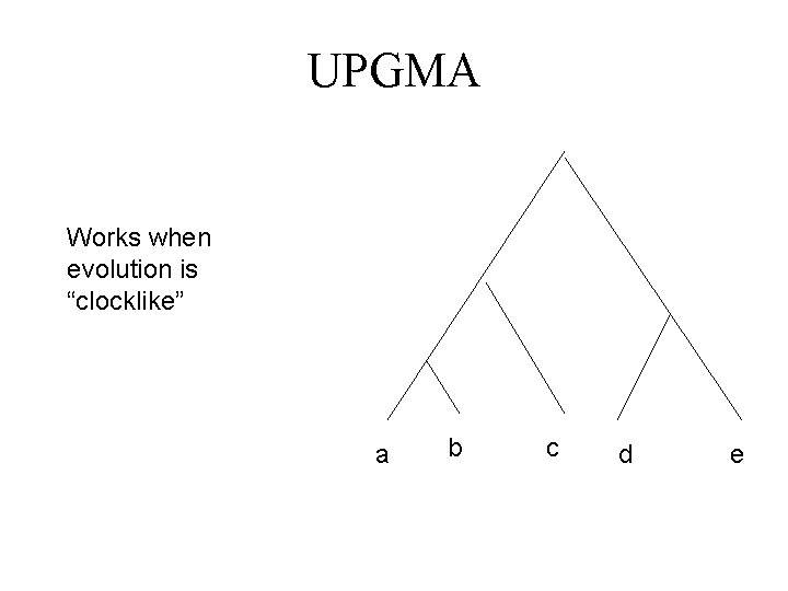 UPGMA Works when evolution is “clocklike” a b c d e 