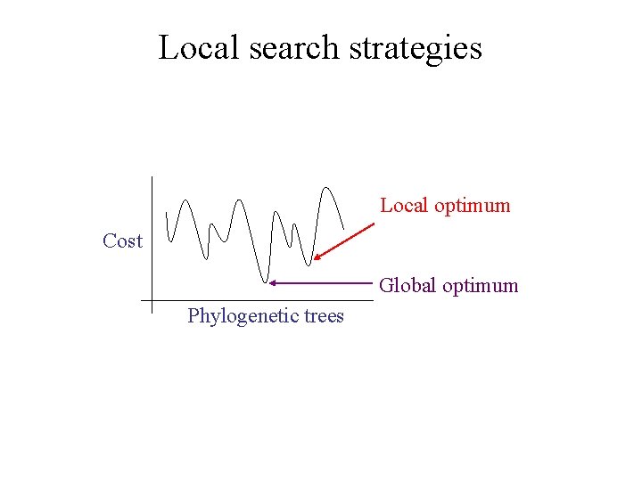 Local search strategies Local optimum Cost Global optimum Phylogenetic trees 