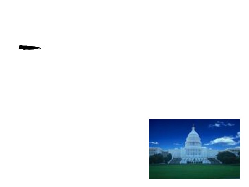 Do these cells mimic what we see on human society? • Does our hierarchical Do these cells mimic what we see on human society? • Does our hierarchical