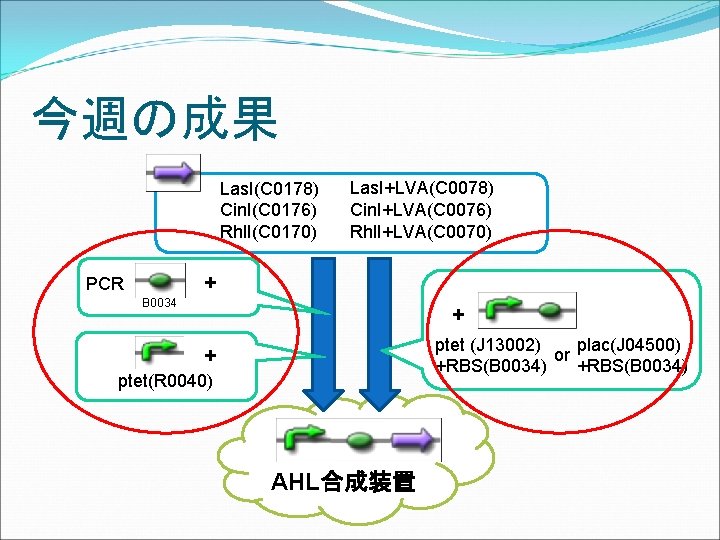 今週の成果 Las. I(C 0178) Cin. I(C 0176) Rhl. I(C 0170) Las. I+LVA(C 0078) Cin.