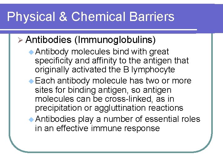 Physical & Chemical Barriers Ø Antibodies u Antibody (Immunoglobulins) molecules bind with great specificity