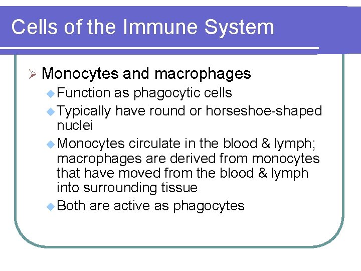 Cells of the Immune System Ø Monocytes u Function and macrophages as phagocytic cells