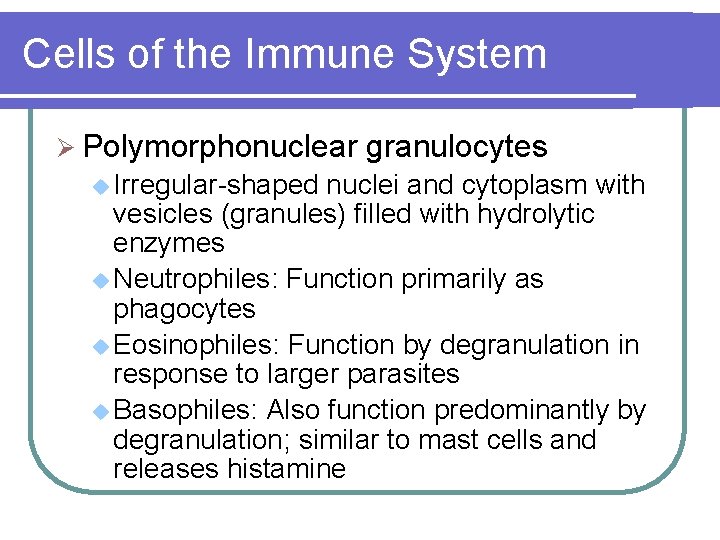 Cells of the Immune System Ø Polymorphonuclear u Irregular-shaped granulocytes nuclei and cytoplasm with