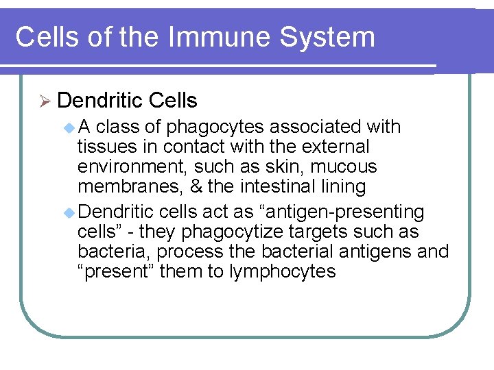 Cells of the Immune System Ø Dendritic u. A Cells class of phagocytes associated