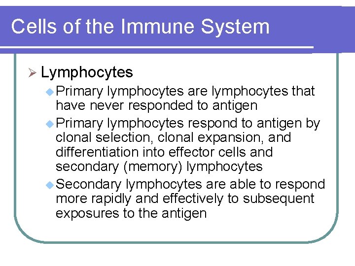 Cells of the Immune System Ø Lymphocytes u Primary lymphocytes are lymphocytes that have