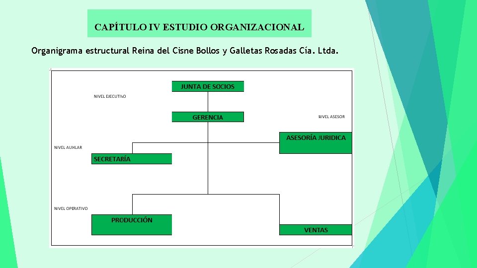 CAPÍTULO IV ESTUDIO ORGANIZACIONAL Organigrama estructural Reina del Cisne Bollos y Galletas Rosadas Cía.