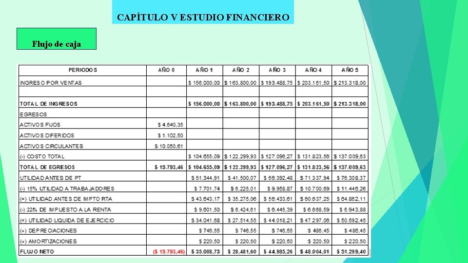 CAPÍTULO V ESTUDIO FINANCIERO Flujo de caja 