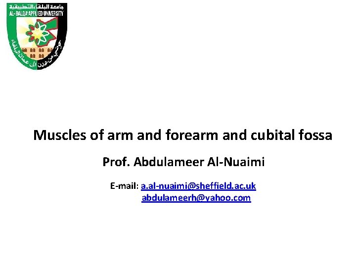 Muscles of arm and forearm and cubital fossa Prof. Abdulameer Al-Nuaimi E-mail: a. al-nuaimi@sheffield.