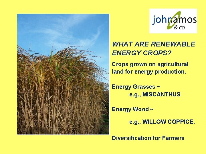WHAT ARE RENEWABLE ENERGY CROPS? Crops grown on agricultural land for energy production. Energy