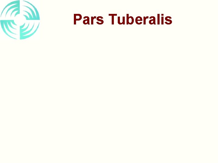 Pars Tuberalis 