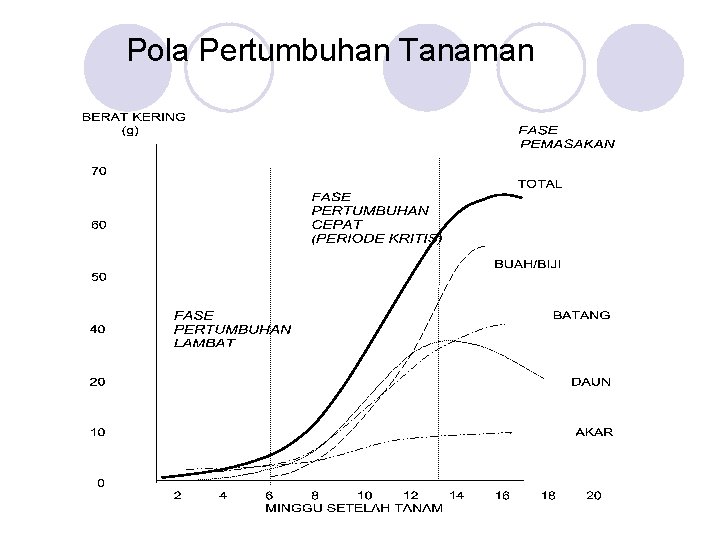 Pola Pertumbuhan Tanaman 