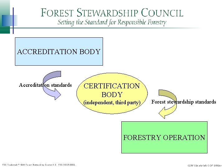 ACCREDITATION BODY Accreditation standards CERTIFICATION BODY (independent, third party) Forest stewardship standards FORESTRY OPERATION
