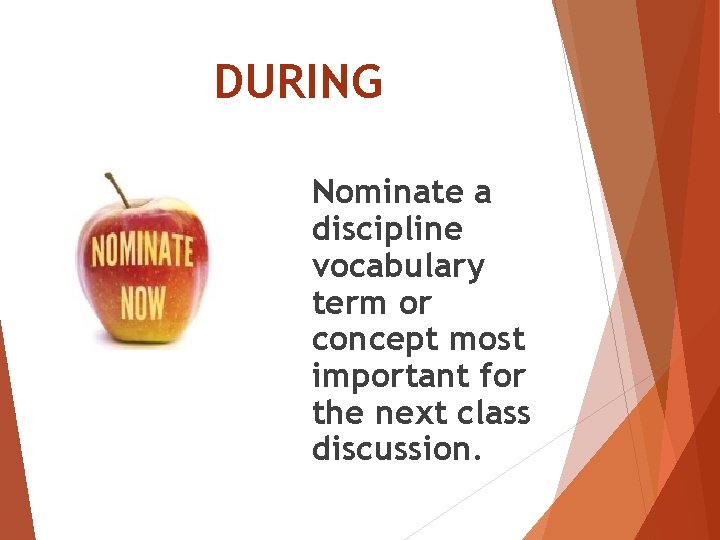 DURING Nominate a discipline vocabulary term or concept most important for the next class