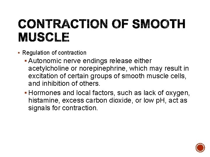 § Regulation of contraction § Autonomic nerve endings release either acetylcholine or norepinephrine, which