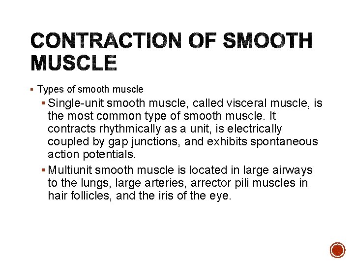 § Types of smooth muscle § Single-unit smooth muscle, called visceral muscle, is the