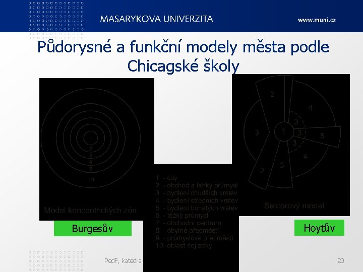 Půdorysné a funkční modely města podle Chicagské školy Burgesův Ped. F, katedra geografie Hoytův