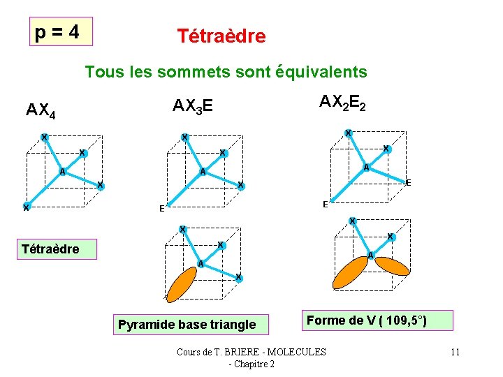p=4 Tétraèdre Tous les sommets sont équivalents AX 2 E 2 AX 3 E