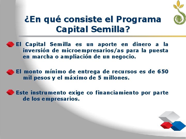 ¿En qué consiste el Programa Capital Semilla? El Capital Semilla es un aporte en