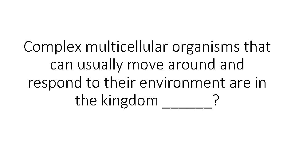 Complex multicellular organisms that can usually move around and respond to their environment are