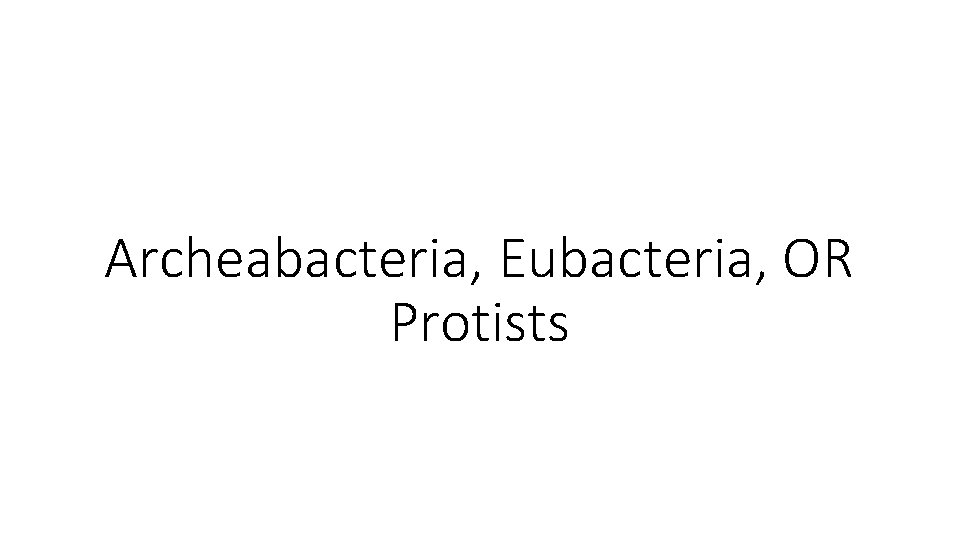 Archeabacteria, Eubacteria, OR Protists 