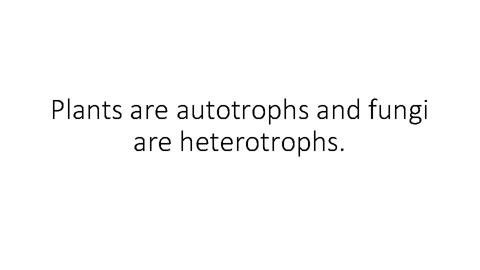 Plants are autotrophs and fungi are heterotrophs. 