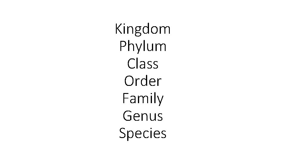 Kingdom Phylum Class Order Family Genus Species 