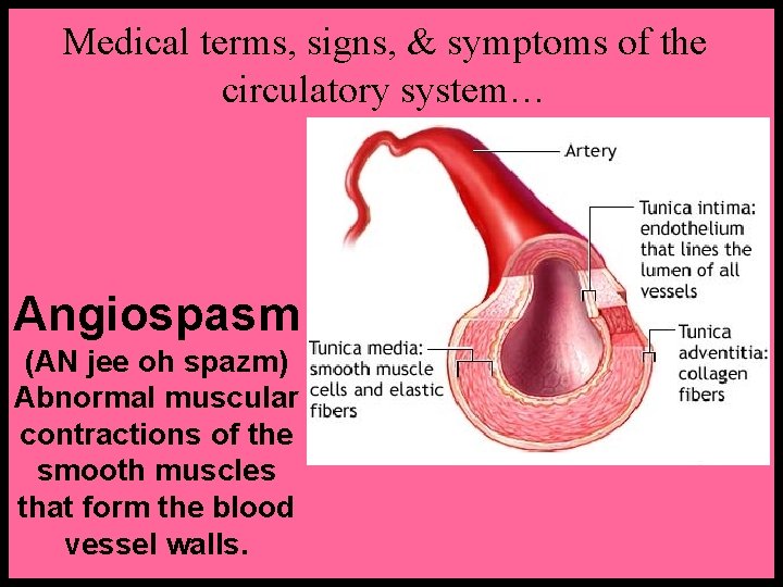 Medical terms, signs, & symptoms of the circulatory system… Angiospasm (AN jee oh spazm) Medical terms, signs, & symptoms of the circulatory system… Angiospasm (AN jee oh spazm)