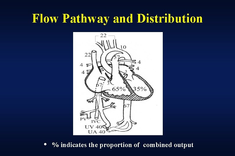 Flow Pathway and Distribution • % indicates the proportion of combined output 