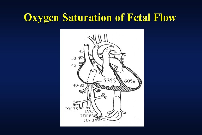 Oxygen Saturation of Fetal Flow 