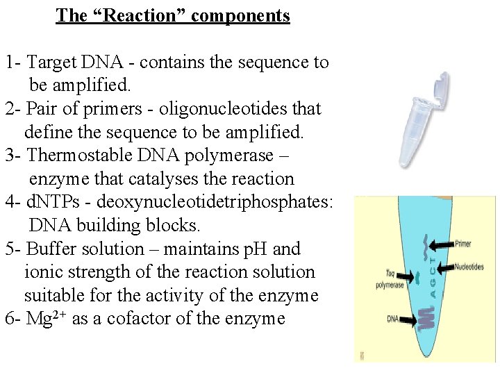 The “Reaction” components 1 - Target DNA - contains the sequence to be amplified.