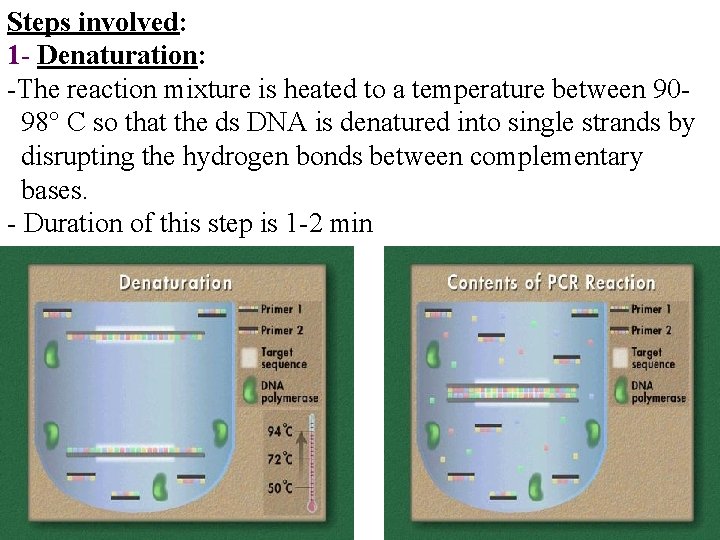 Steps involved: 1 - Denaturation: -The reaction mixture is heated to a temperature between