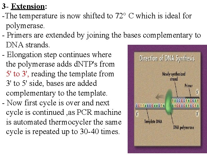 3 - Extension: -The temperature is now shifted to 72° C which is ideal