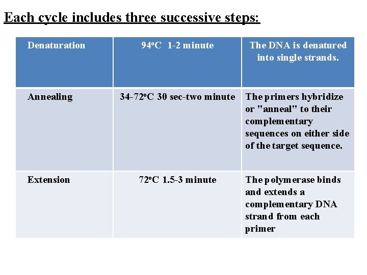 Each cycle includes three successive steps: Denaturation 94 o. C 1 -2 minute The