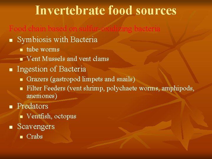 Invertebrate food sources Food chain based on sulfur-oxidizing bacteria n Symbiosis with Bacteria n