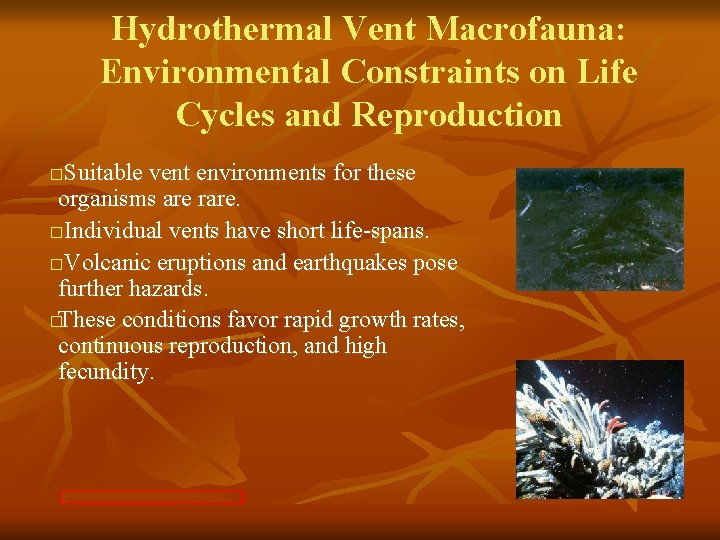 Hydrothermal Vent Macrofauna: Environmental Constraints on Life Cycles and Reproduction Suitable vent environments for