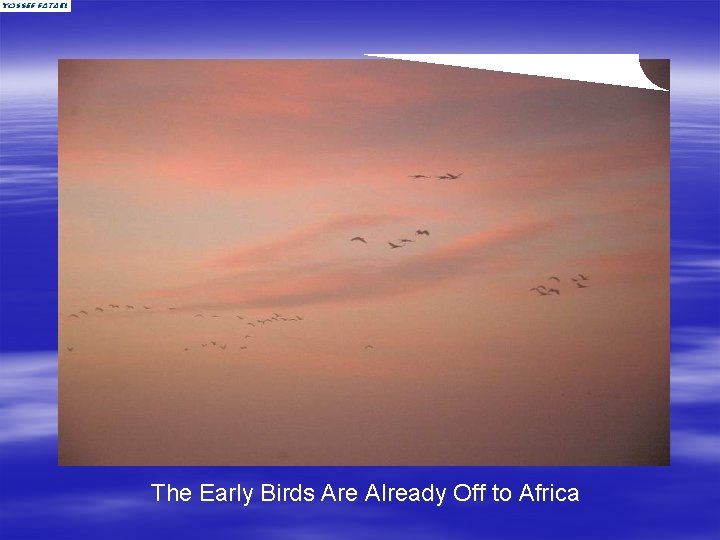 The Early Birds Are Already Off to Africa 