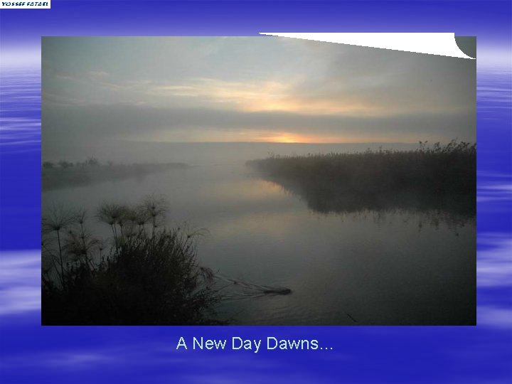 A New Day Dawns… 