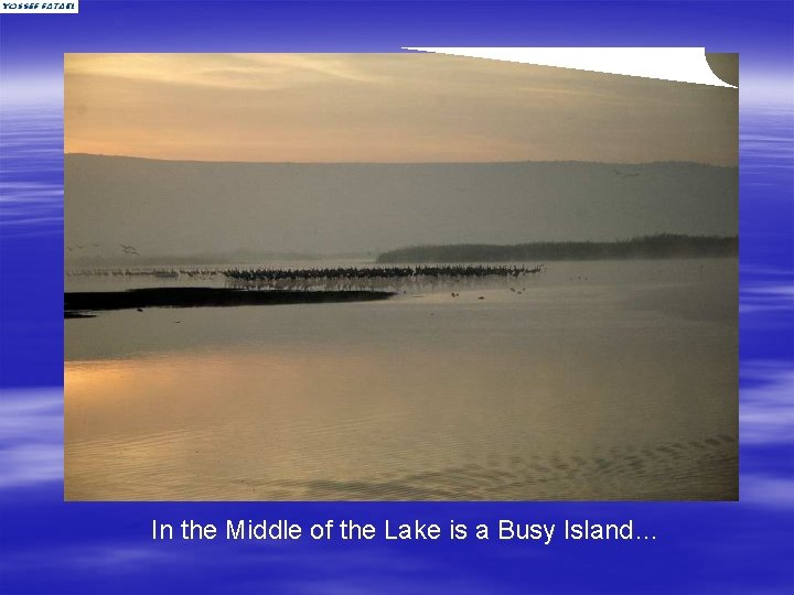 In the Middle of the Lake is a Busy Island… 